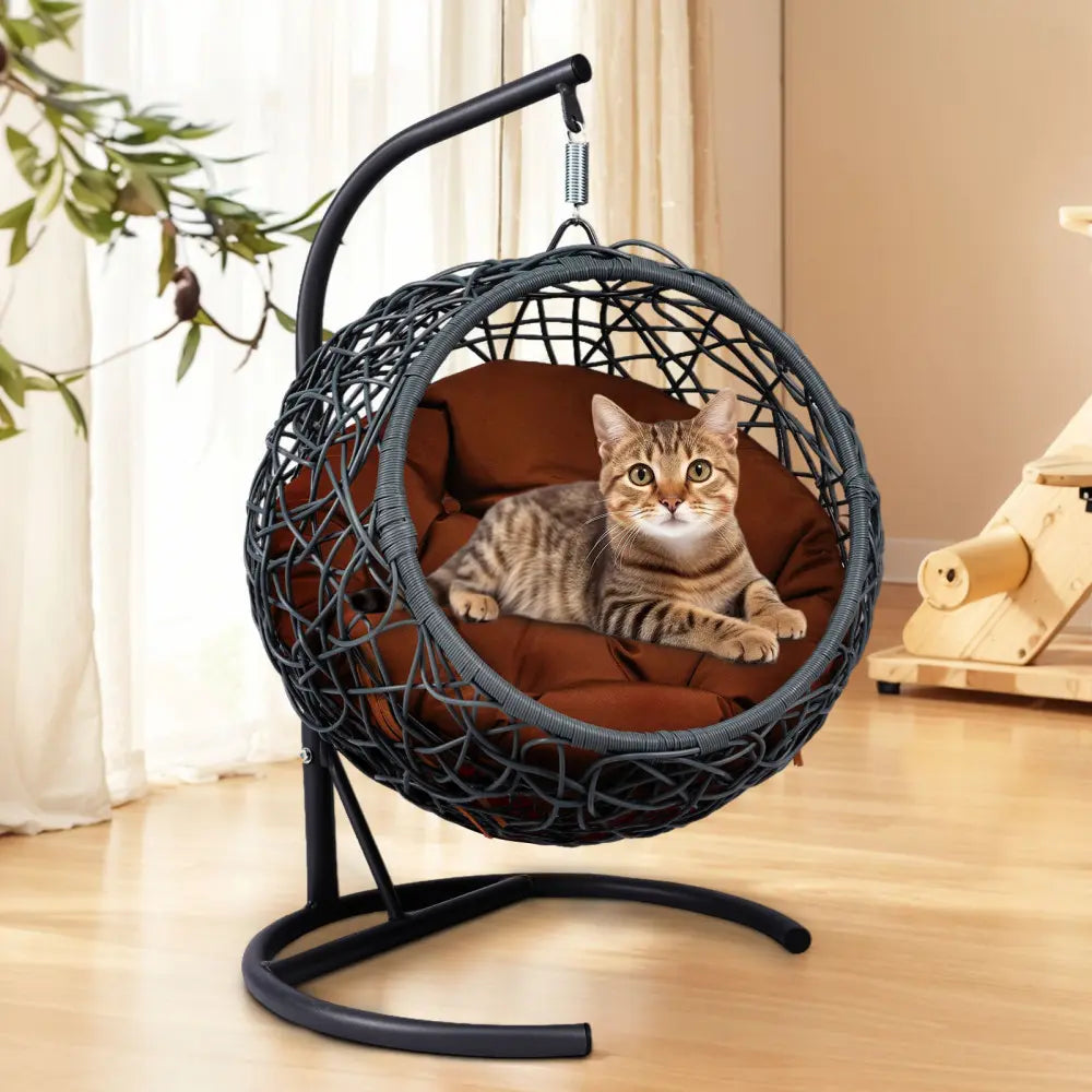 Cat Swing Bed with Stand & Cushion, Cat Egg Chair with Rattan Wicker Appearance, Indoor Hanging Swinging Cat Bed for Cats, Small Dogs, and Small Animals.Gray.