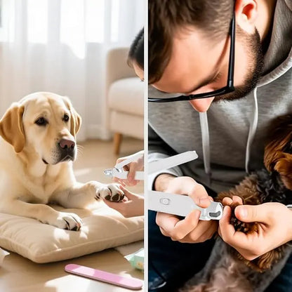 2-In-1 Led Cat Dog Nail Clipper & Nail Grinder with Lights,Rechargeable Pet Nail Trimmers with Nail File,Protective Guard,Quick Sensor,Pet Claw Clippers for Medium Small Dogs Cats Rabbits