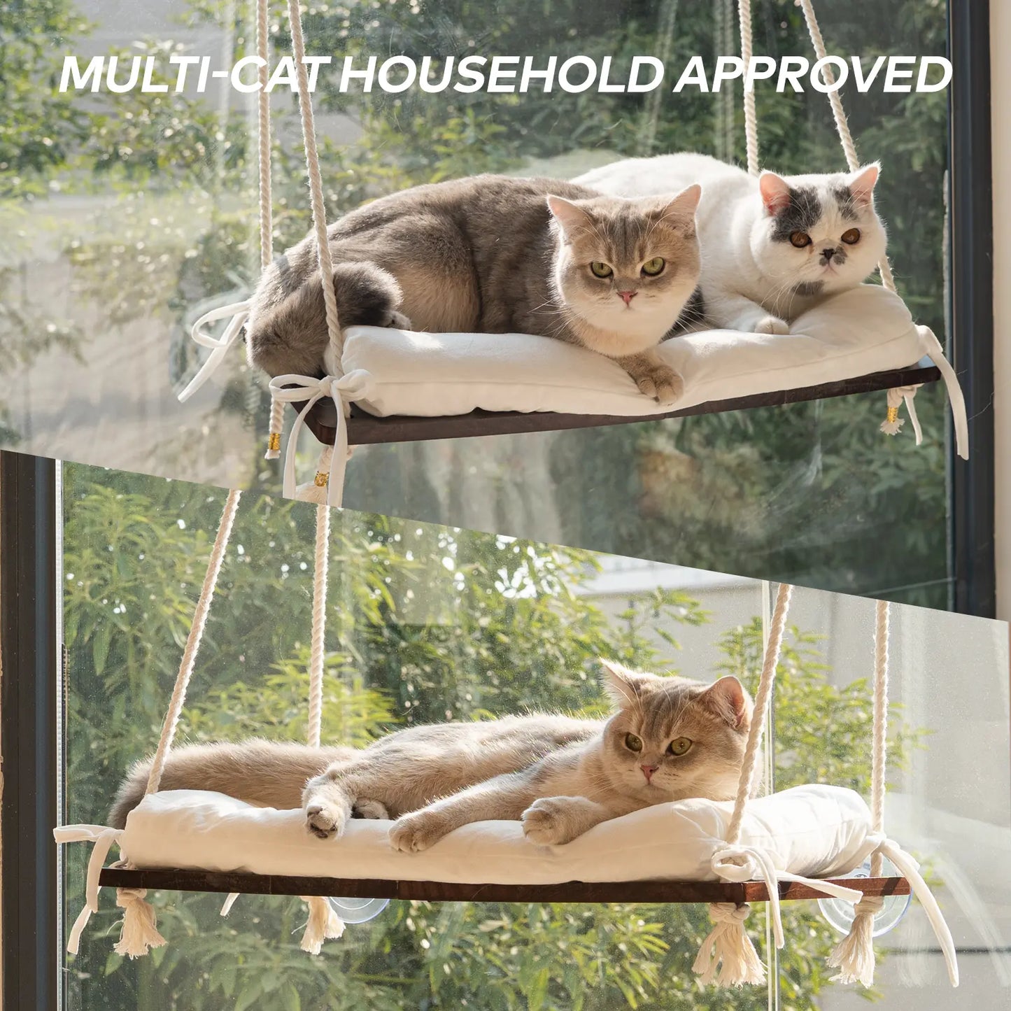 Solid Wood Cat Window Perch with Machine Washable Cusion,Strong Suction Cup, Cat Window Perch for Cats and Small Dog #Summervibes #Dealsforyourdays