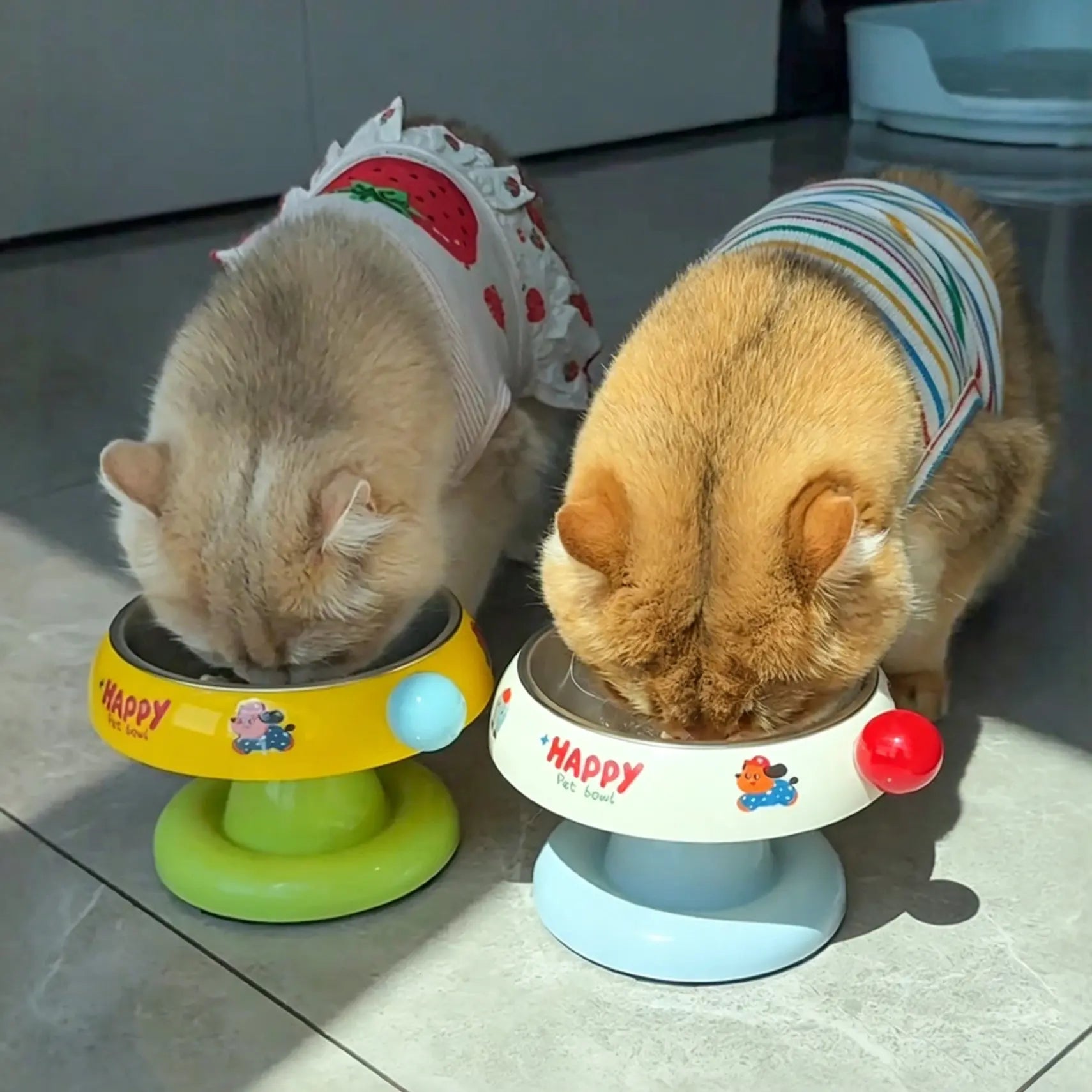 Stainless Steel Cat Bowl Feeder for Cats and Dogs, 3 Color Options, Anti-Slip, Non-Tip, Removable Inner Liner, Easy to Clean, Prevents Blackheads